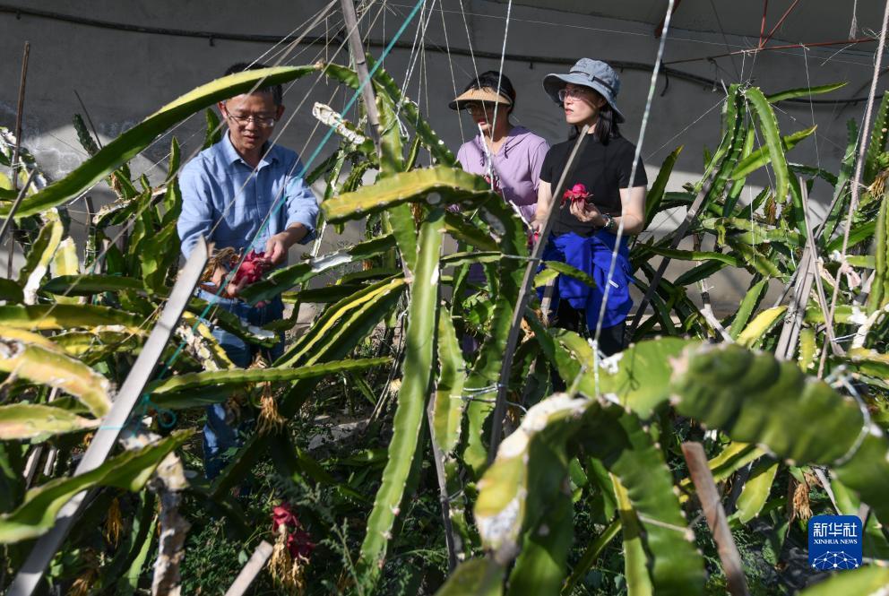 波克捕鱼充值多少到v9